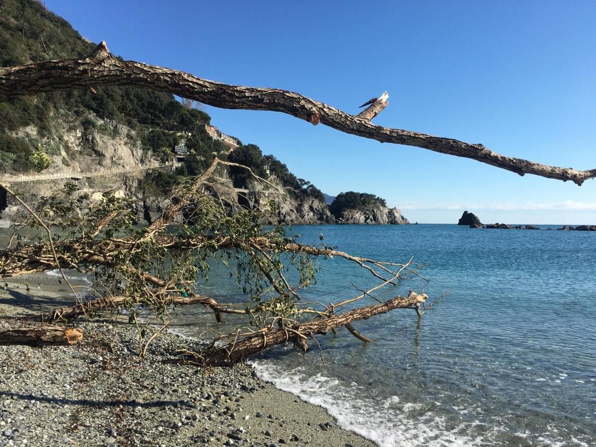 Appartamento Le Cinque Vele ***** Cinque Terre Monterosso al Mare Esterno foto